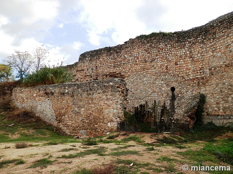 Muralla urbana de Escalona