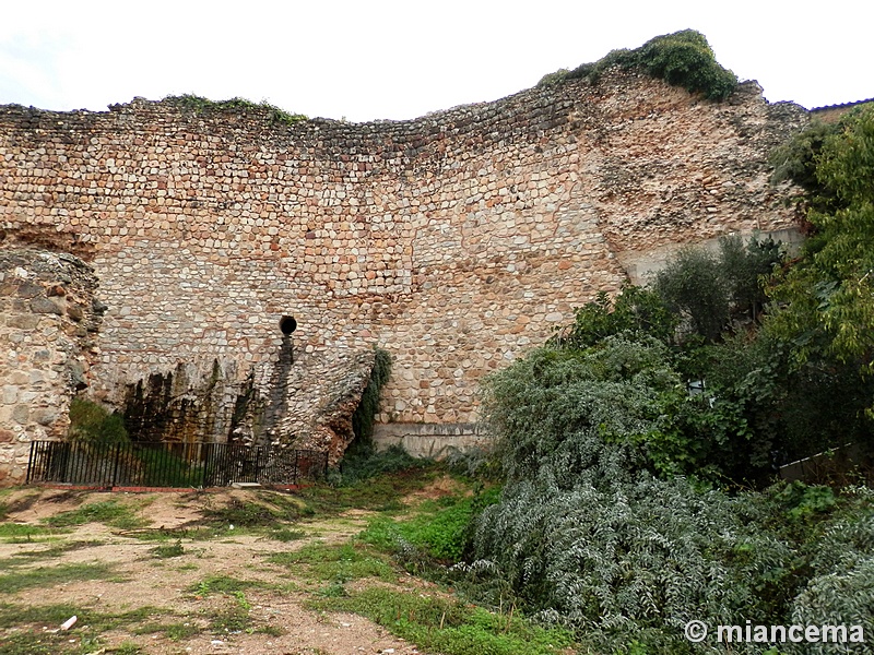 Muralla urbana de Escalona