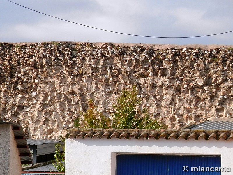 Muralla urbana de Escalona