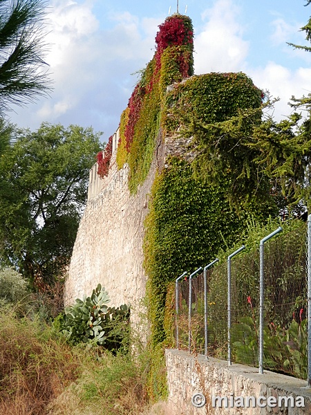 Muralla urbana de Escalona