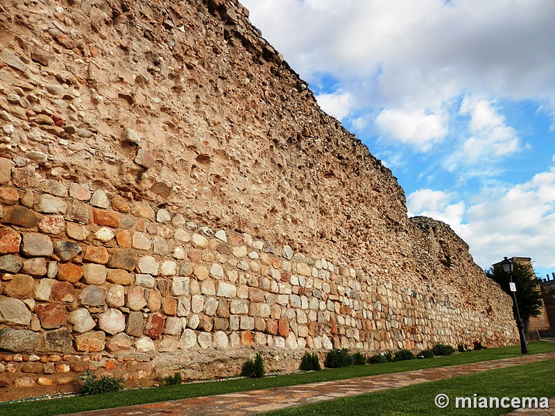 Muralla urbana de Escalona