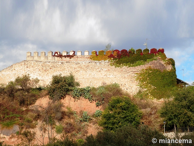 Muralla urbana de Escalona