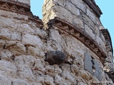 Castillo de San Silvestre