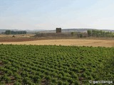 Torre de Algodor