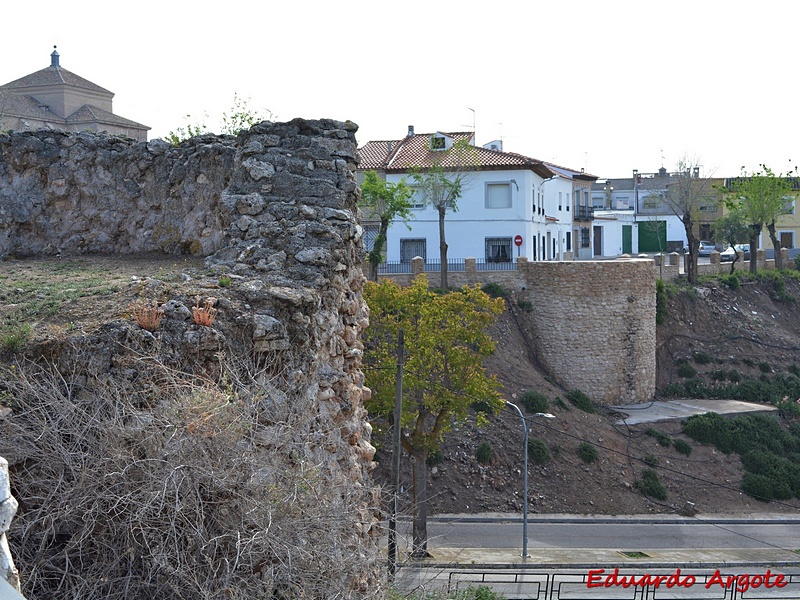 Muralla urbana de La Guardia