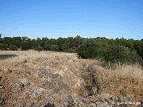 Recinto murado del Cerro de la Mesa