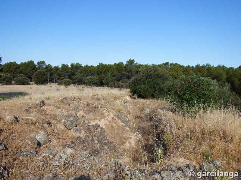 Recinto murado del Cerro de la Mesa