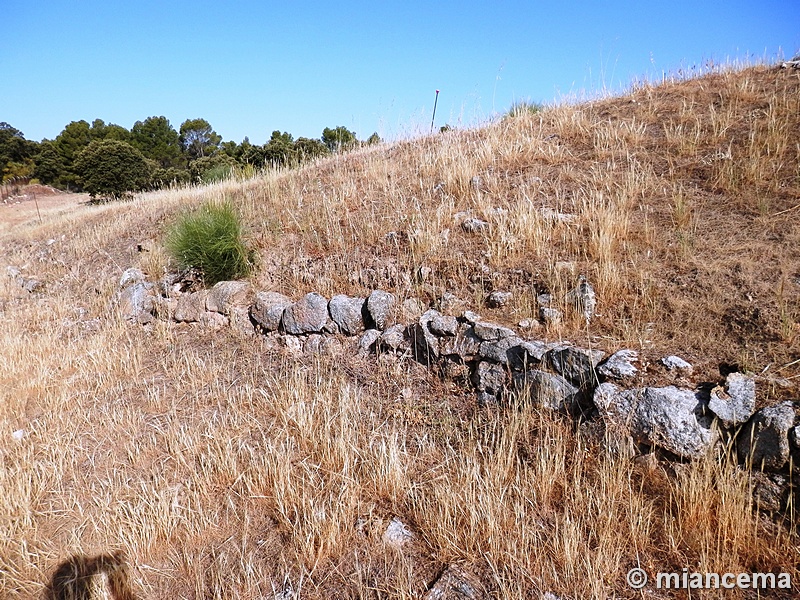 Recinto murado del Cerro de la Mesa