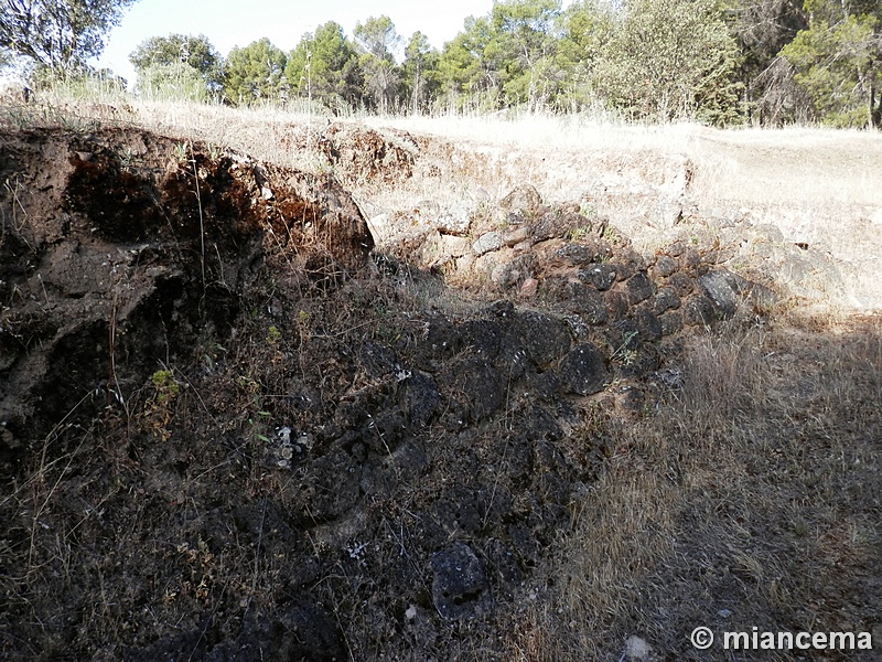 Recinto murado del Cerro de la Mesa