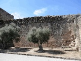 Muralla urbana de Oropesa