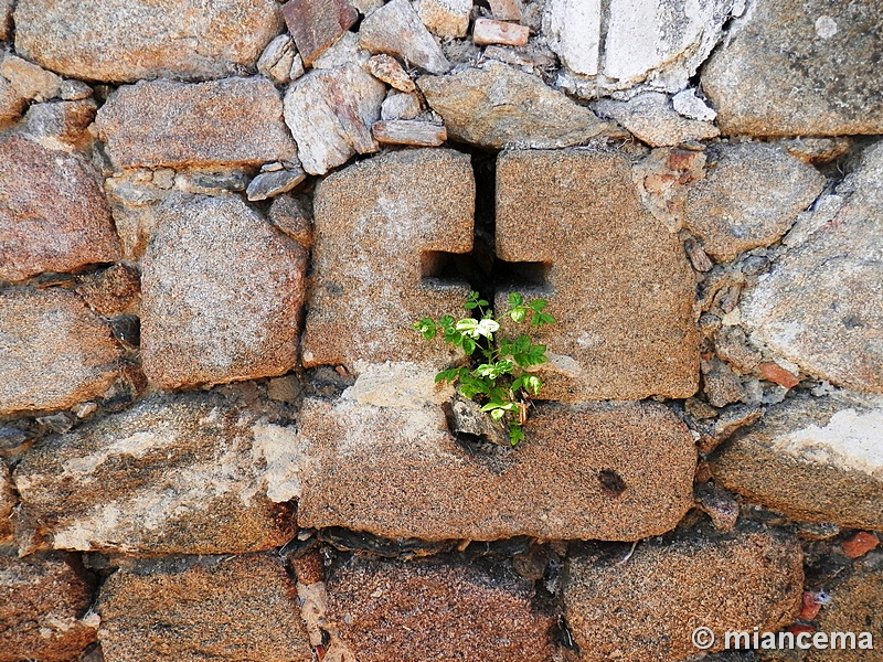 Muralla urbana de Oropesa