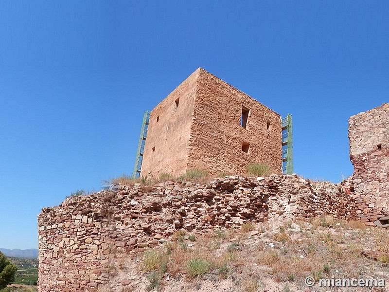 Castillo de Torres Torres