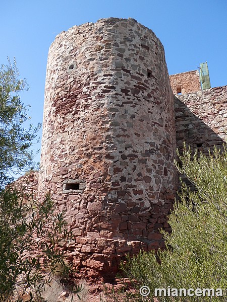 Castillo de Torres Torres