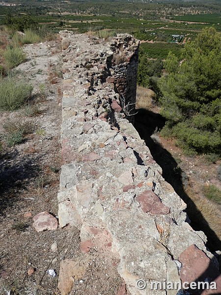 Castillo de Torres Torres