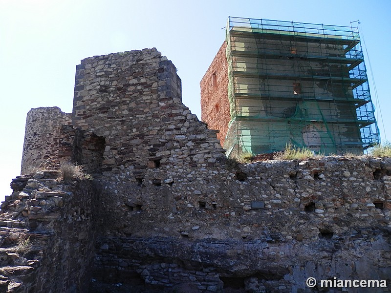 Castillo de Torres Torres