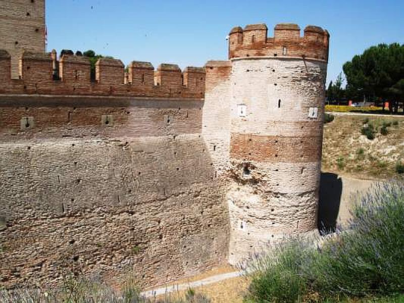 Castillo de la Mota