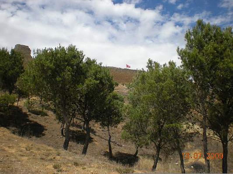 Castillo de Tordehumos