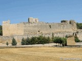 Castillo de Trigueros del Valle