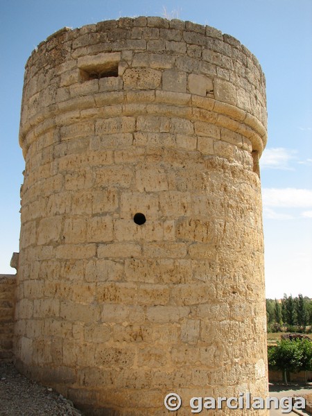 Castillo de Trigueros del Valle