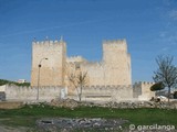 Castillo de Encinas de Esgueva