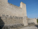 Castillo de Encinas de Esgueva