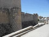 Castillo de Encinas de Esgueva