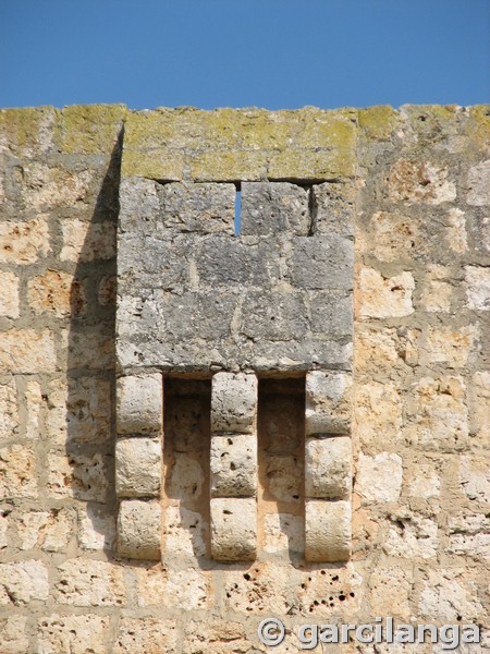 Castillo de Encinas de Esgueva