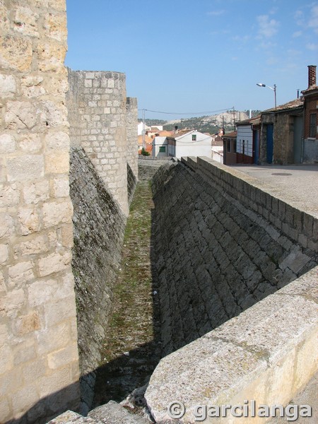 Castillo de Encinas de Esgueva