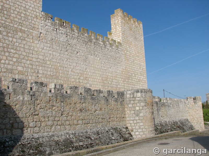 Castillo de Encinas de Esgueva