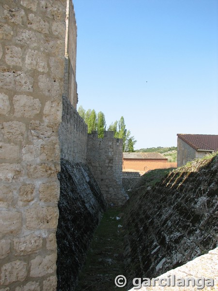 Castillo de Encinas de Esgueva