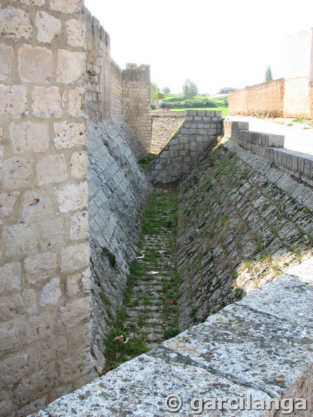 Castillo de Encinas de Esgueva