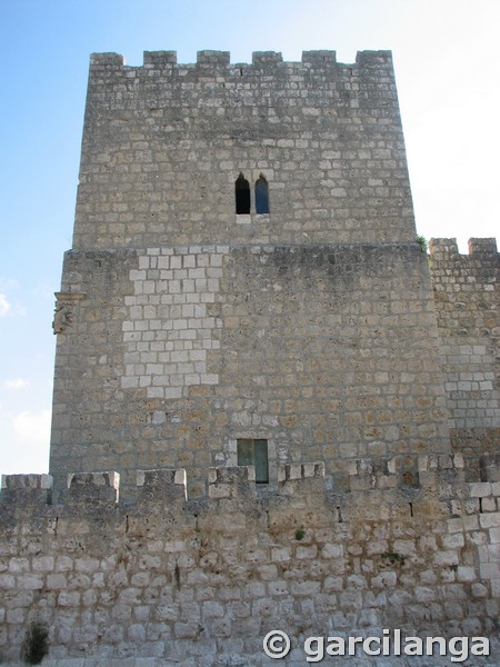 Castillo de Encinas de Esgueva