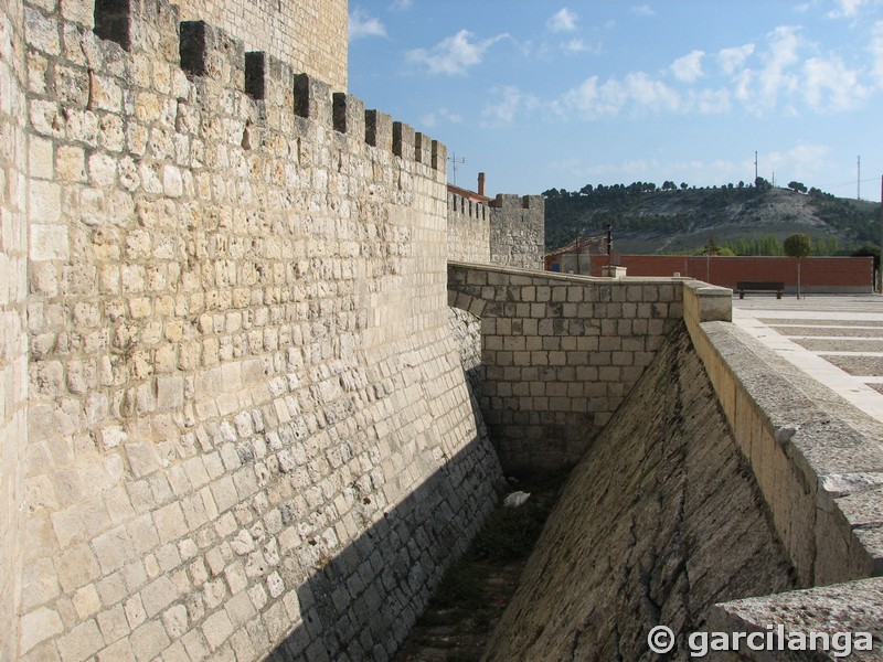 Castillo de Encinas de Esgueva