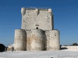 Castillo de Íscar