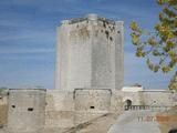 Castillo de Íscar