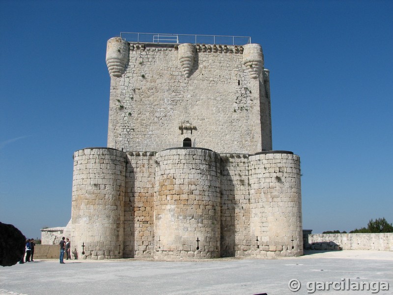 Castillo de Íscar