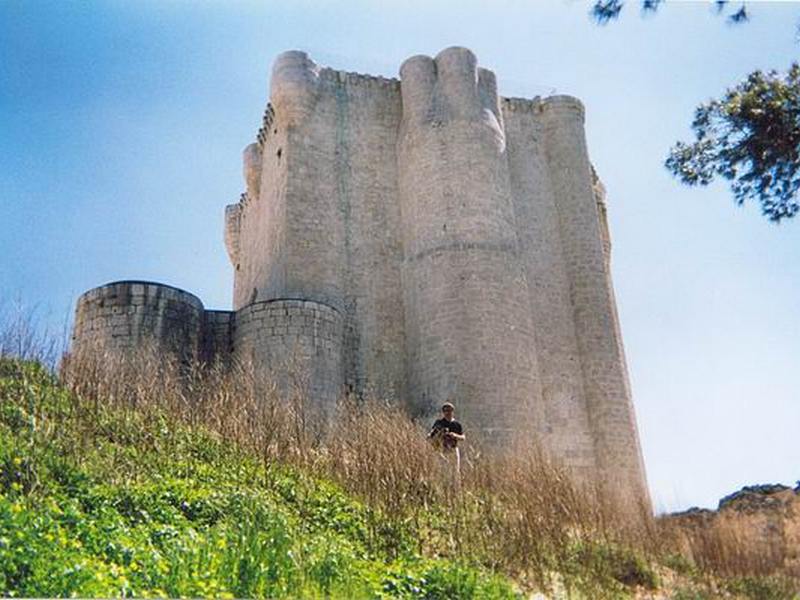 Castillo de Íscar