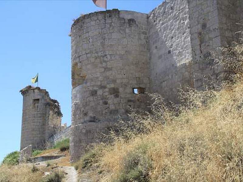 Castillo de Íscar