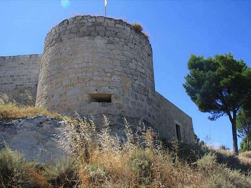 Castillo de Íscar