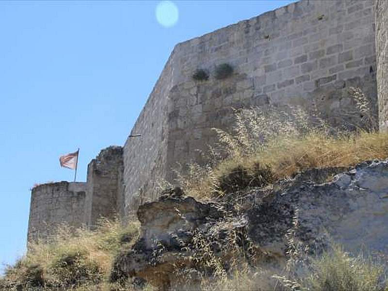 Castillo de Íscar