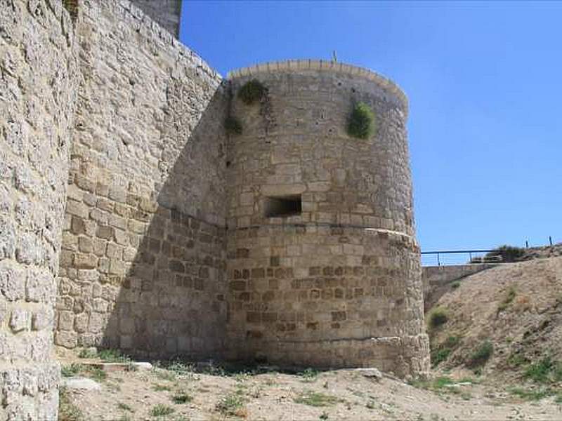 Castillo de Íscar