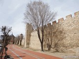 Muralla urbana de Olmedo