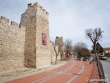 Muralla urbana de Olmedo