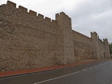 Muralla urbana de Olmedo