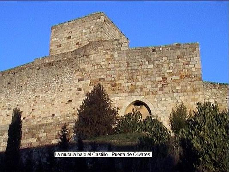 Muralla urbana de Zamora