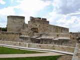 Castillo de Zamora