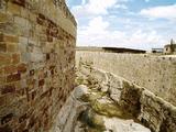 Castillo de Zamora