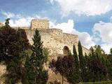 Castillo de Zamora