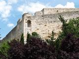 Castillo de Zamora