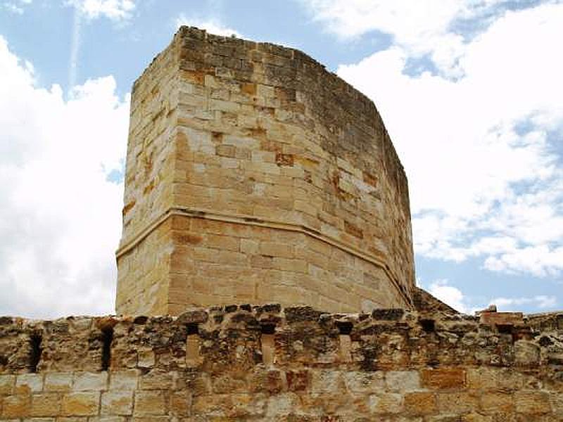 Castillo de Zamora